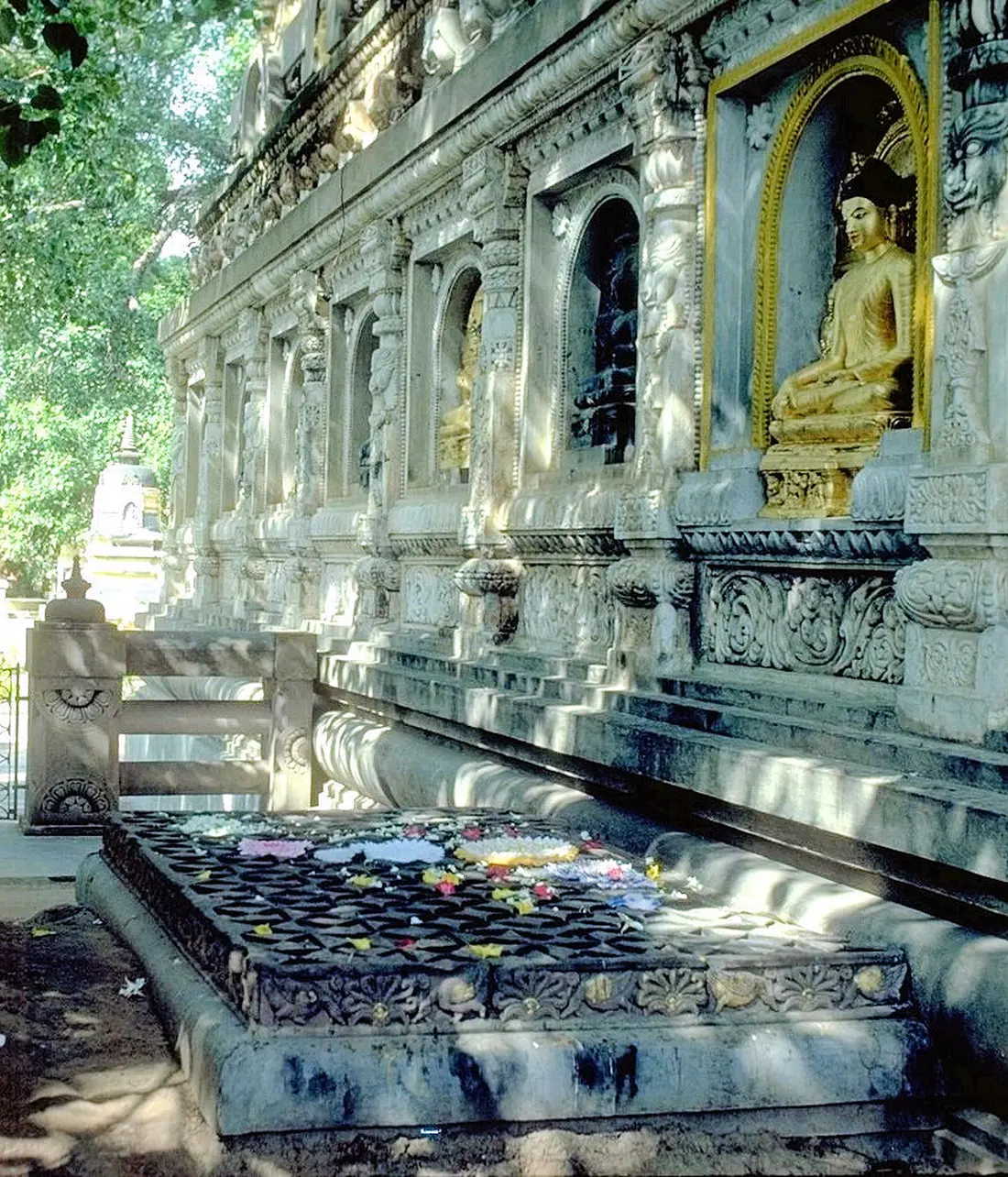 Tòa kim cang do vua a Dục đặt dưới cội đại bồ đề