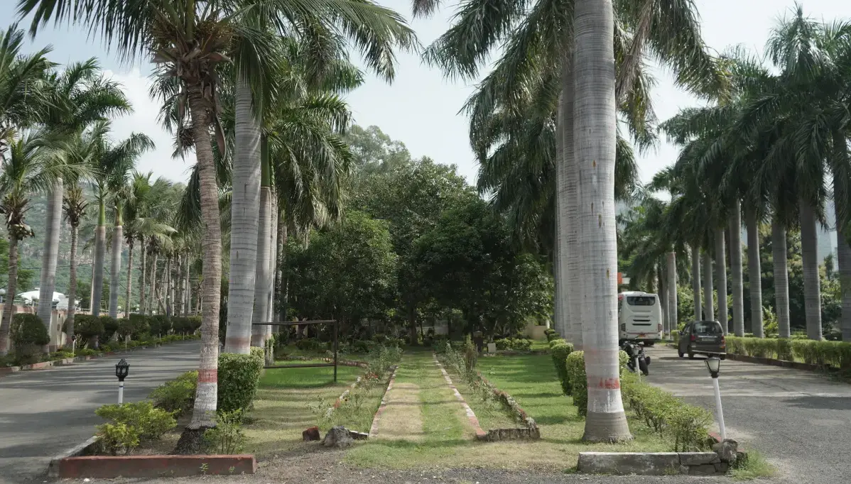 Hồ bơi và phòng Gym