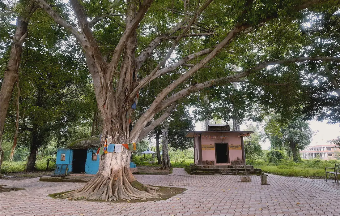 Đền thờ Bairimai thờ Hoàng hậu Maya Devi tại quê nhà hiện nay
