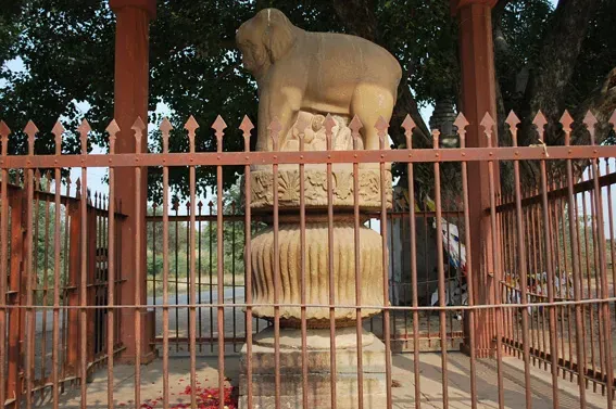 Tượng Voi Trên đỉnh trụ
