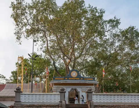Śrī Mahā Bodhi shrine